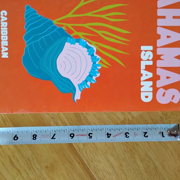 DesignWorks Ink Orange Shell & Seaweed Storage Box - Picture 3 of 8